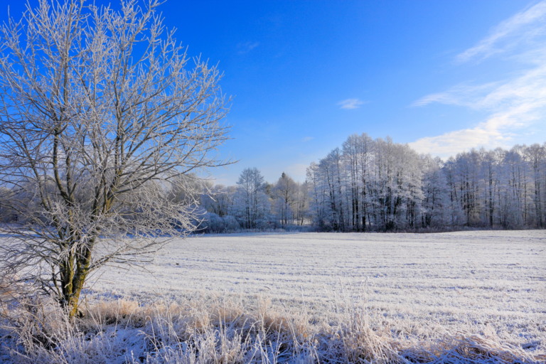 5 zimowych atrakcji na Warmii i Mazurach