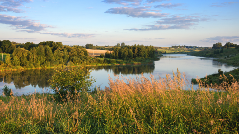 Jak znaleźć odpowiednią działkę pod inwestycję?