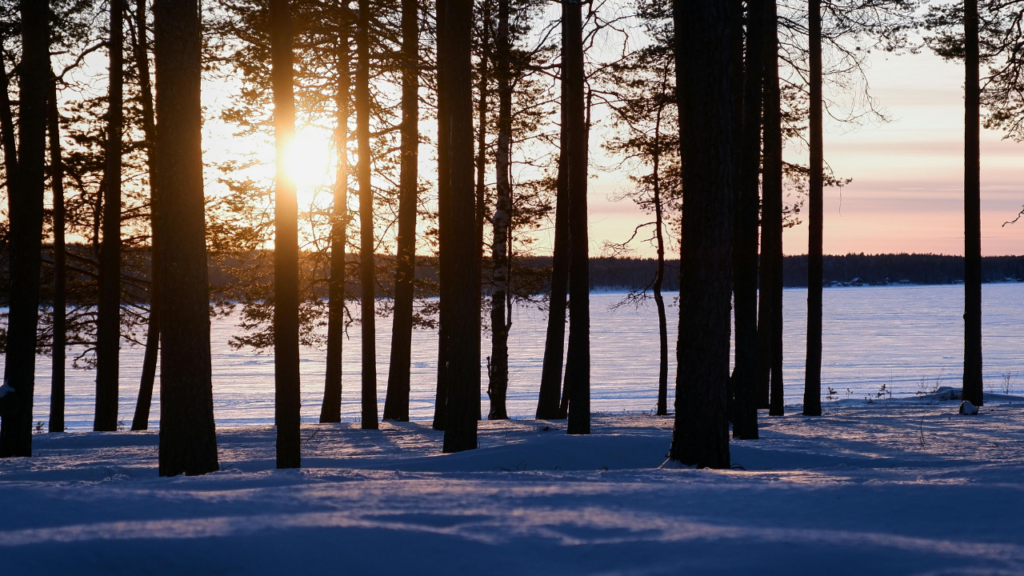 Trendy kształtujące popyt na&nbsp;inwestowanie w&nbsp;grunty na&nbsp;Mazurach