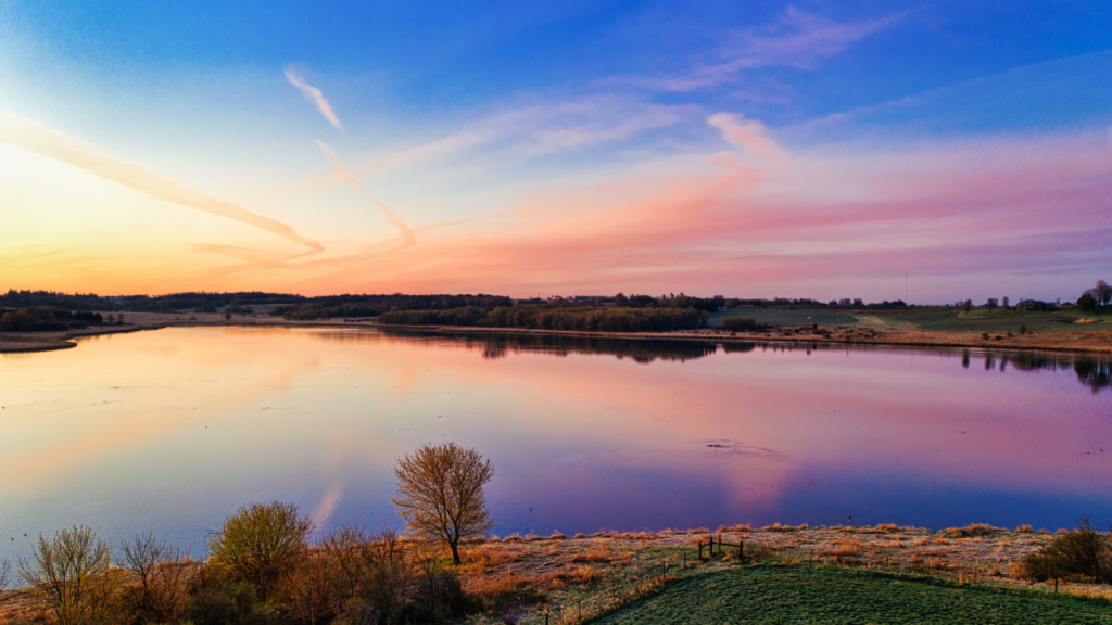Rynek nieruchomości gruntowych w&nbsp;2026 roku: co&nbsp;napędza popyt, a&nbsp;co&nbsp;go&nbsp;selekcjonuje?